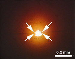 Optical image of the four regions of the calibration structures